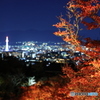 紅葉ライトアップと夜景