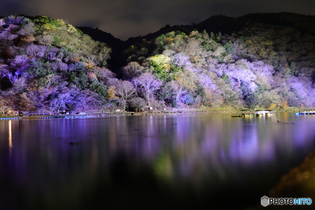 嵐山・花灯路#2
