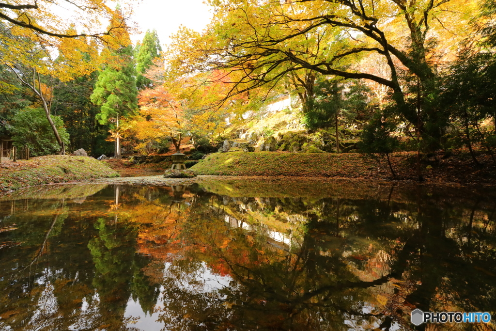 紅葉真っ盛り