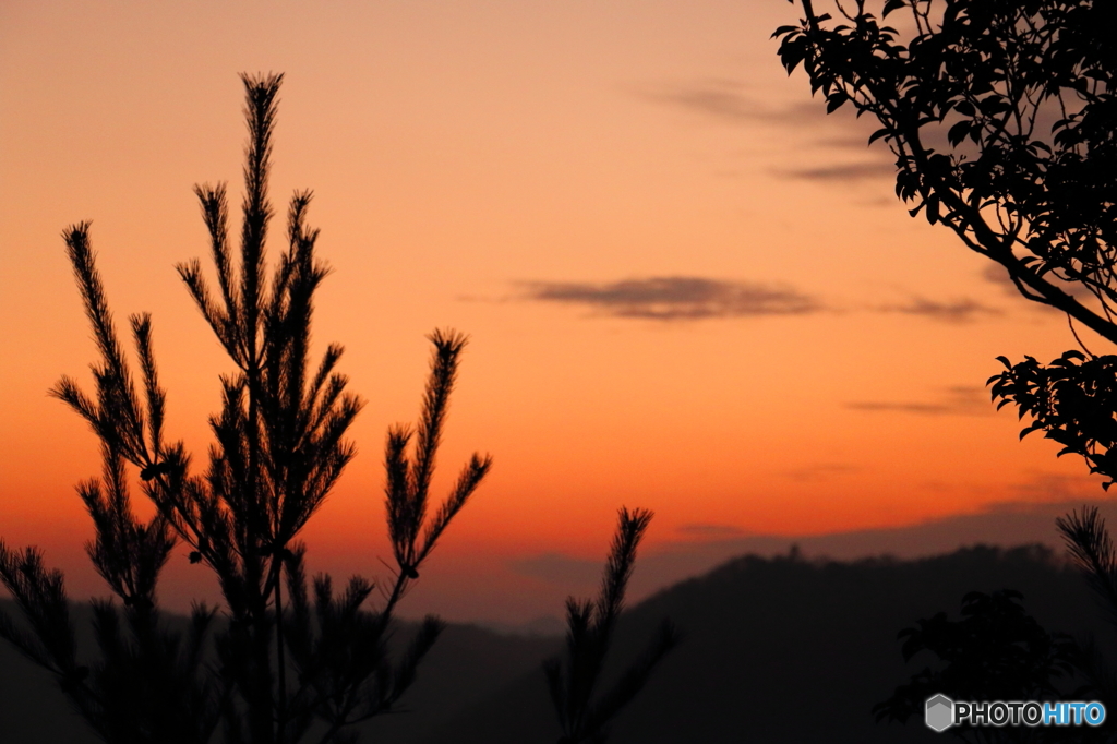 備中松山城 夕焼け2