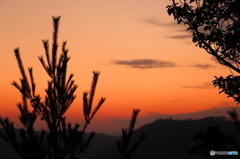 備中松山城 夕焼け2