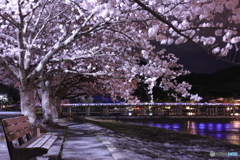 夜桜と渡月橋