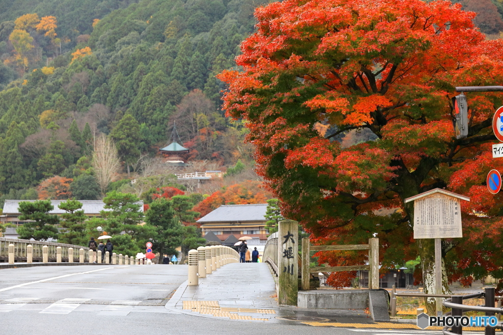 渡月橋と紅葉