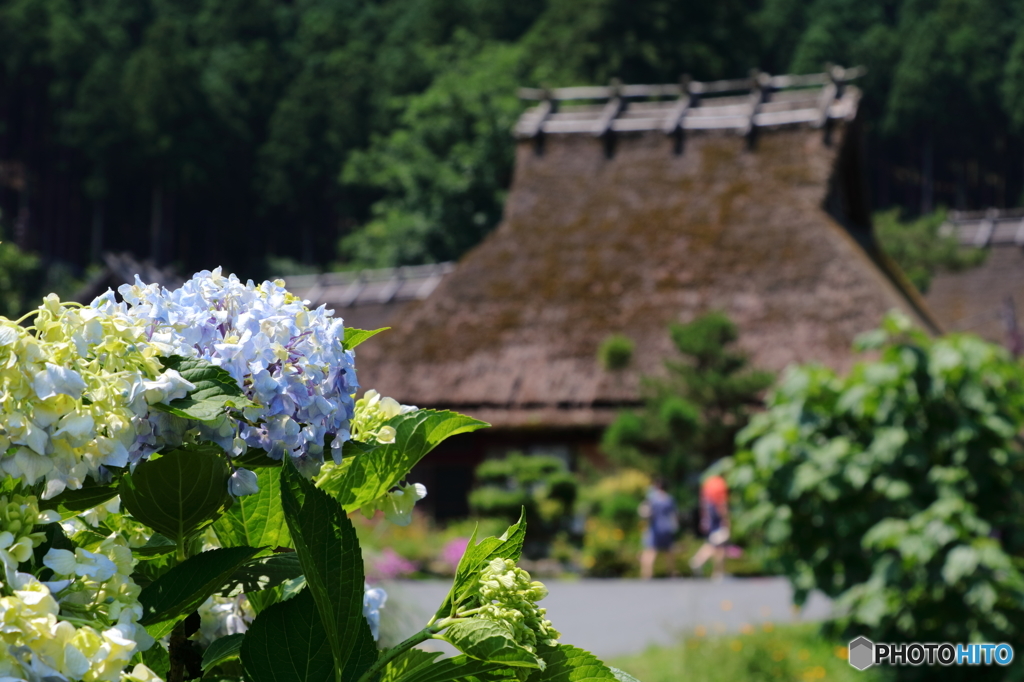 美山かやぶきの里-3