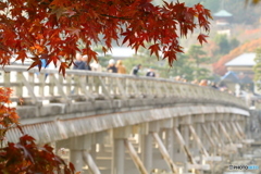紅葉と渡月橋