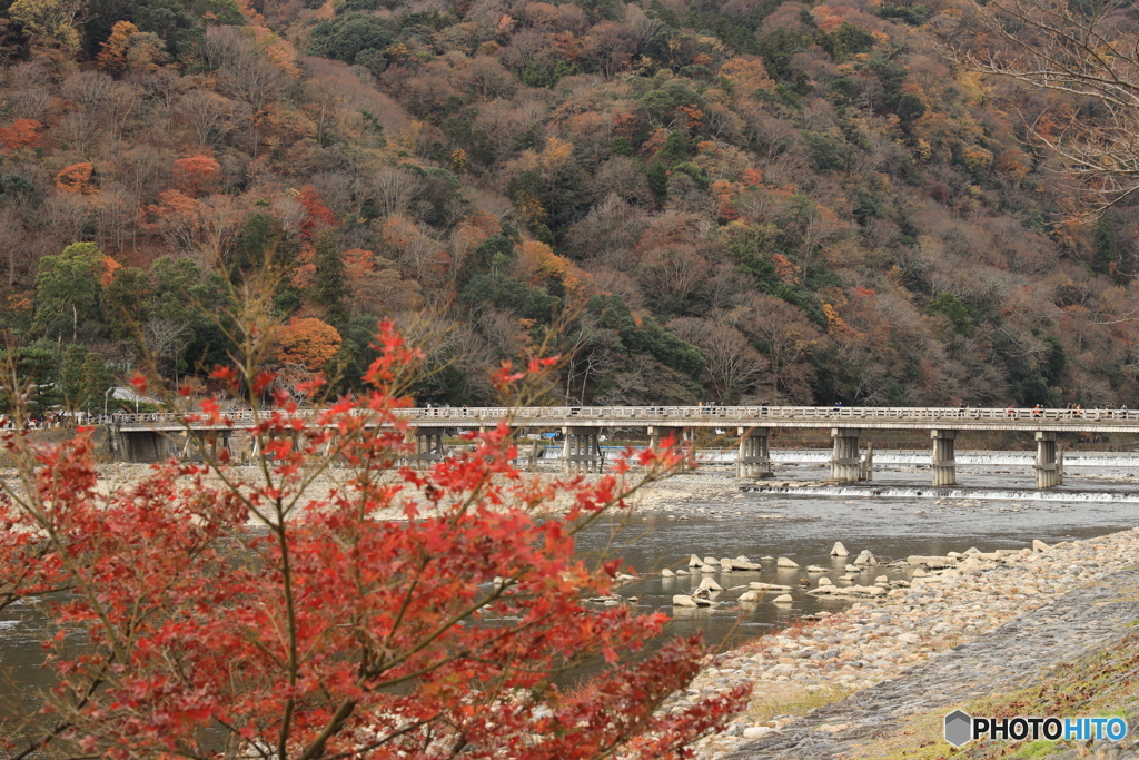 渡月橋に紅葉を添えて