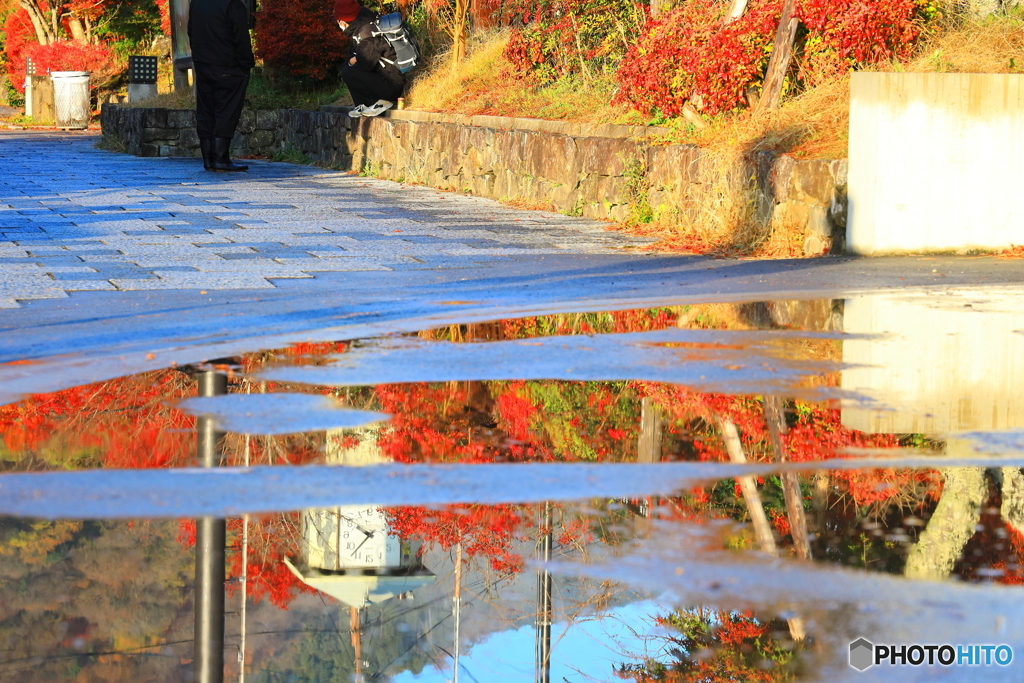 水溜まりの中の紅葉#1