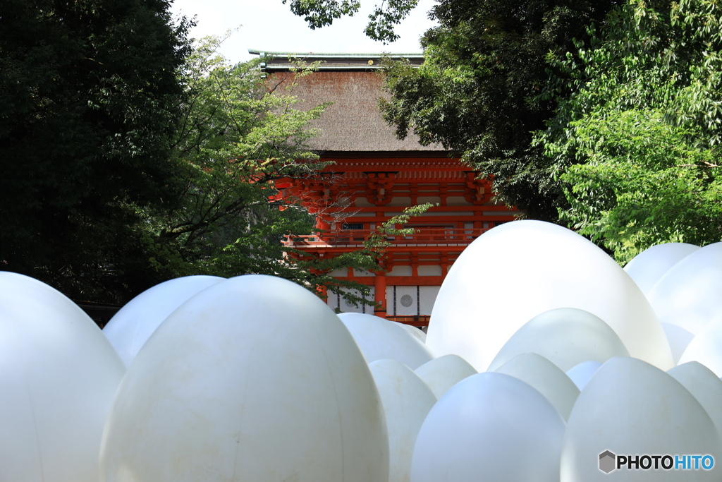 タマゴだらけの下鴨神社