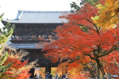 南禅寺三門と紅葉を見る #1