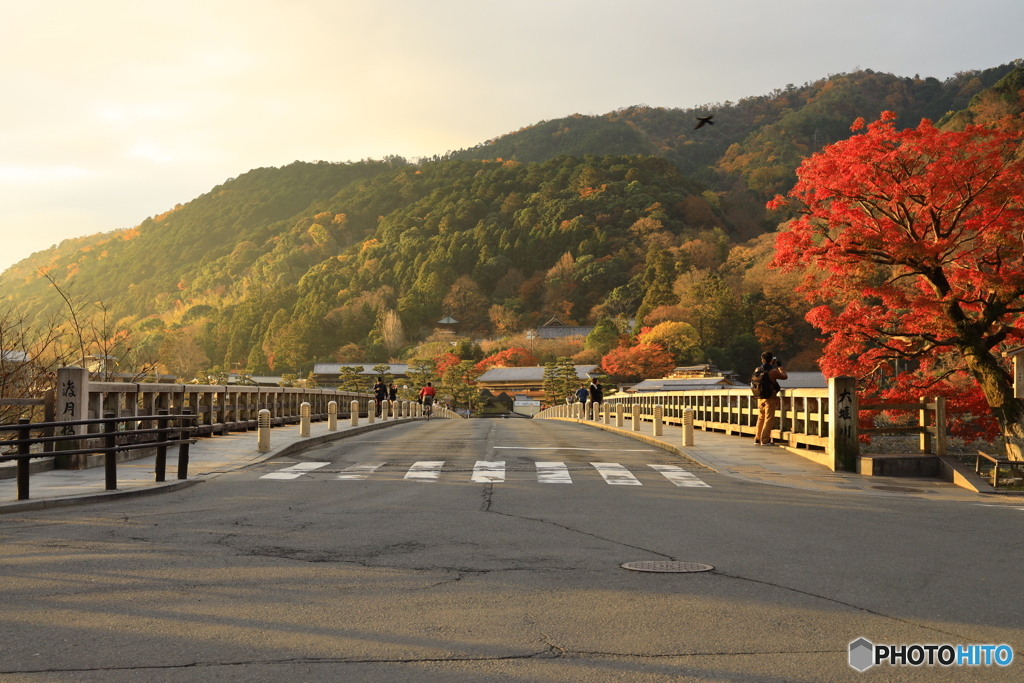 朝の渡月橋