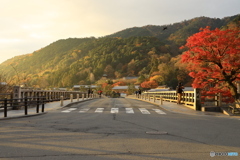 朝の渡月橋