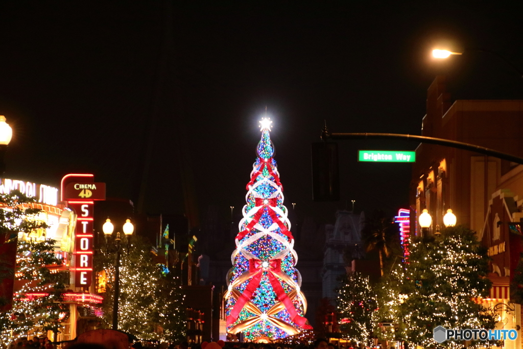 クリスマスツリー(^^)