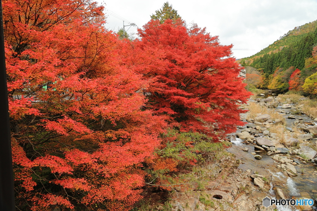 奥津渓の紅葉 #2