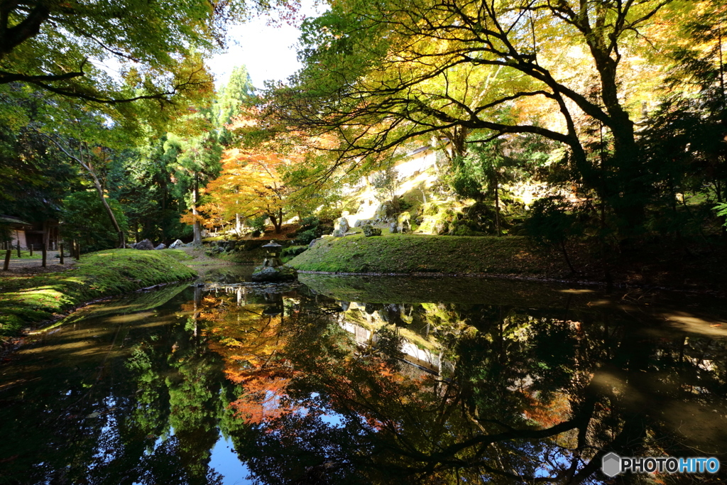 水面に映る青空と紅葉と緑葉