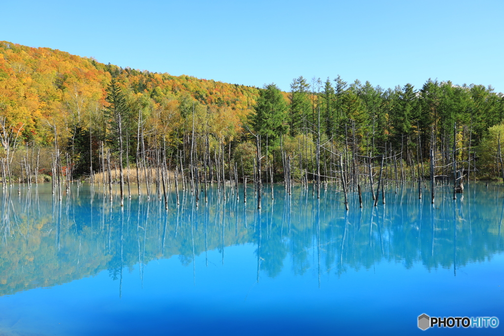 快晴の青い池
