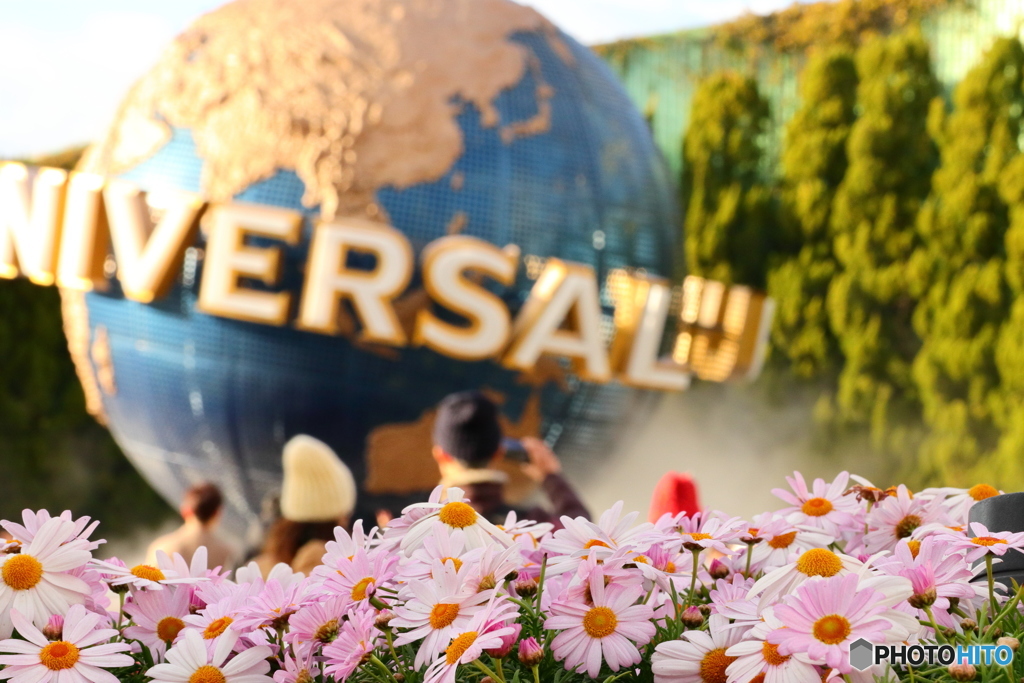 USJシンボルとピンクのお花畑
