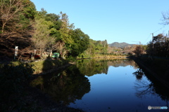 とある神社の池