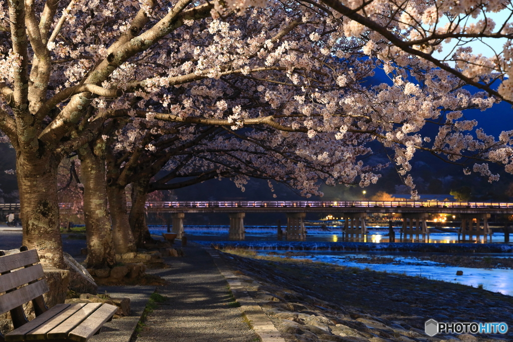 夕暮れの渡月橋②