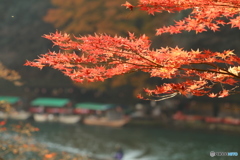 紅葉と屋形船
