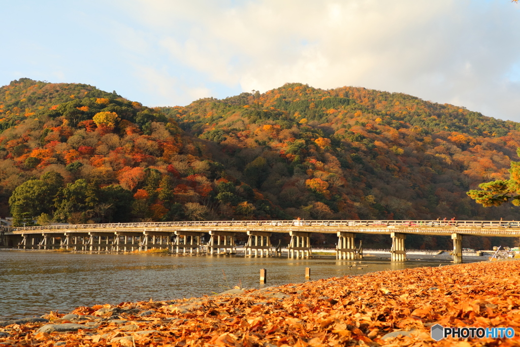 嵐山・渡月橋をローアングルで撮ってみた