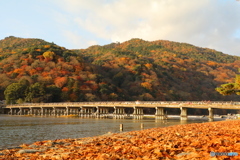 嵐山・渡月橋をローアングルで撮ってみた