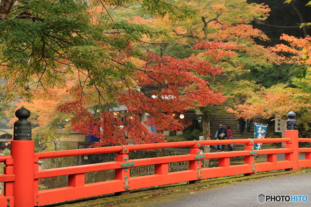 橋と紅葉#1