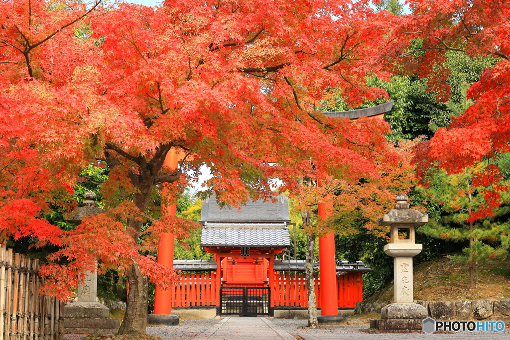 紅葉の門