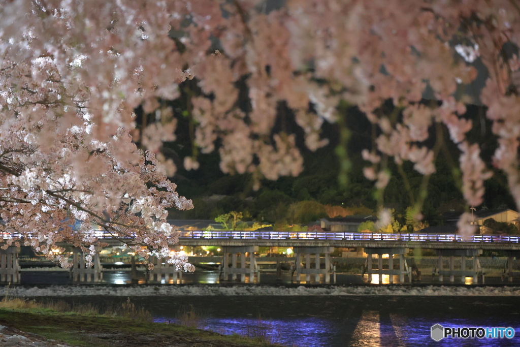 嵐山の夜桜 #3