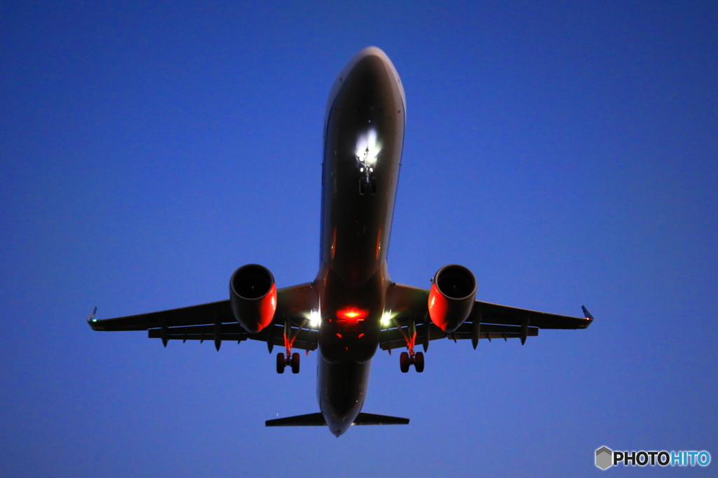 飛行機のお腹