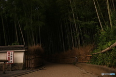 暗くなった竹林小径への入り口