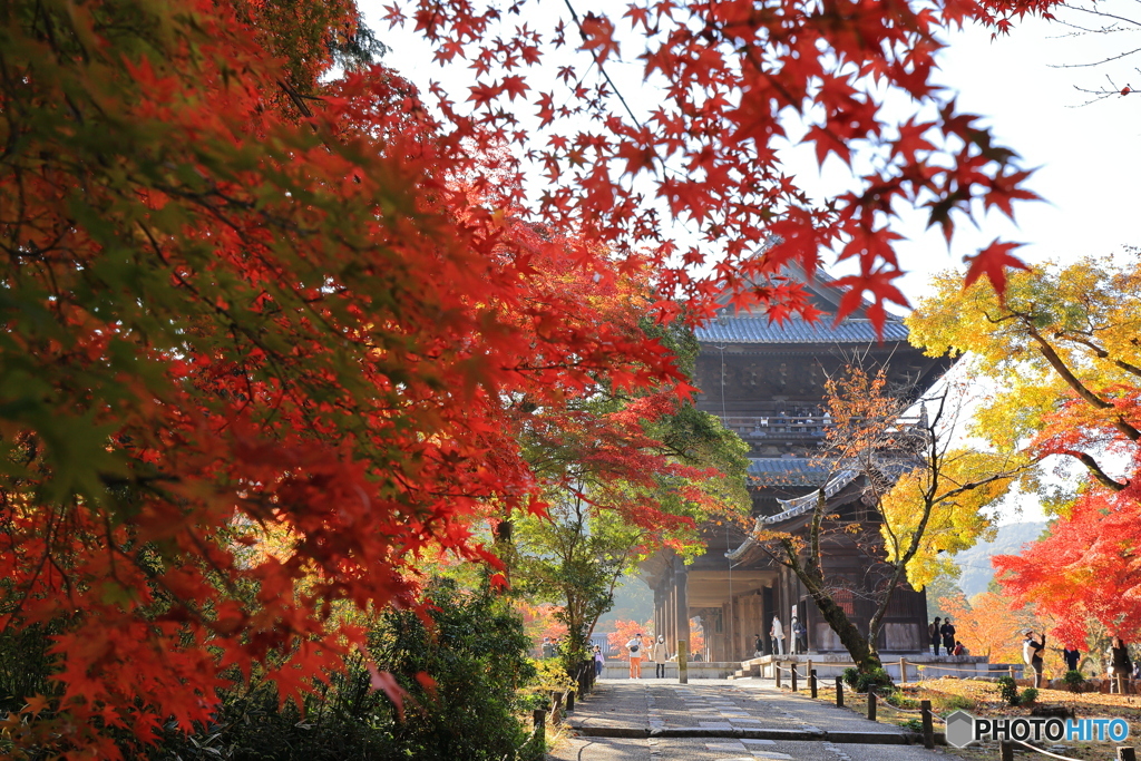 南禅寺三門と紅葉