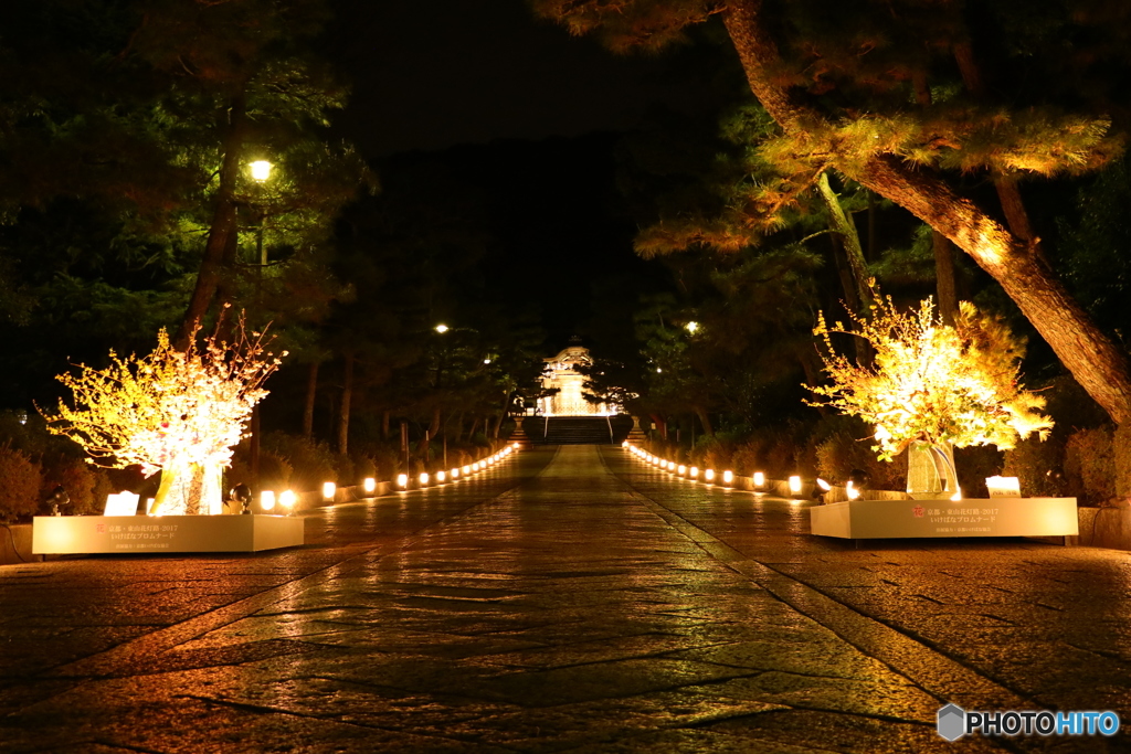 東山花灯路 いけばなプロムナード