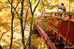 紅葉を眺めながら吊橋を渡る