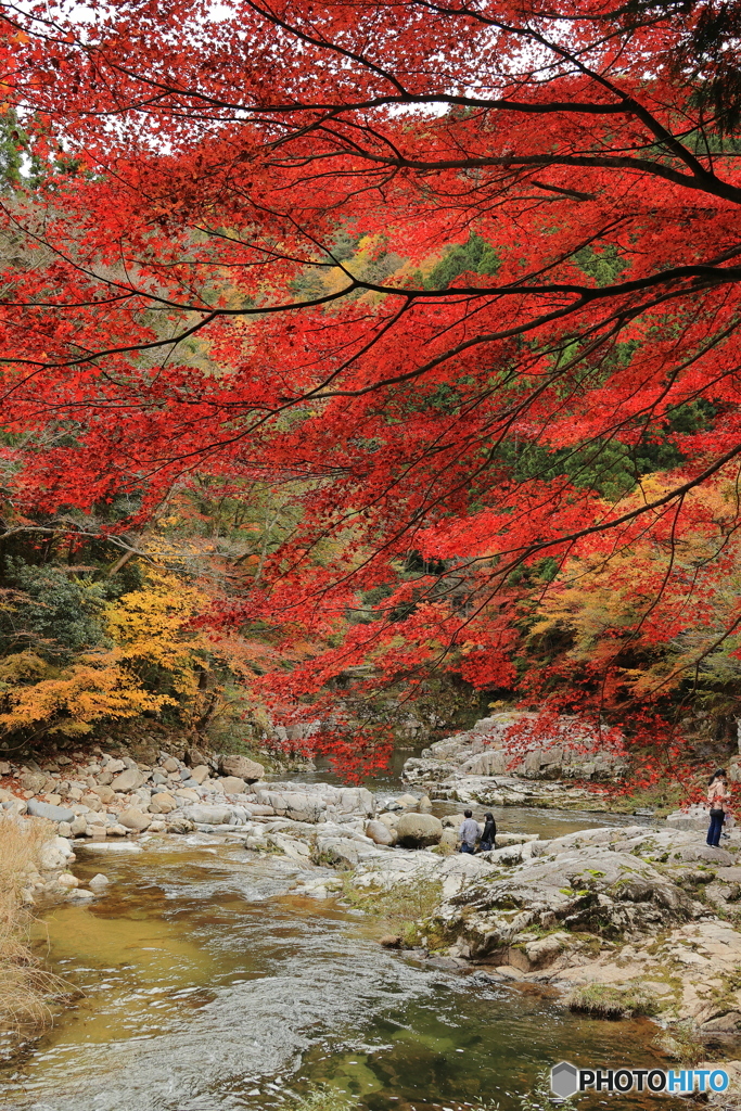 奥津渓の紅葉 #3