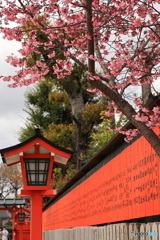 芸能神社に咲く桜