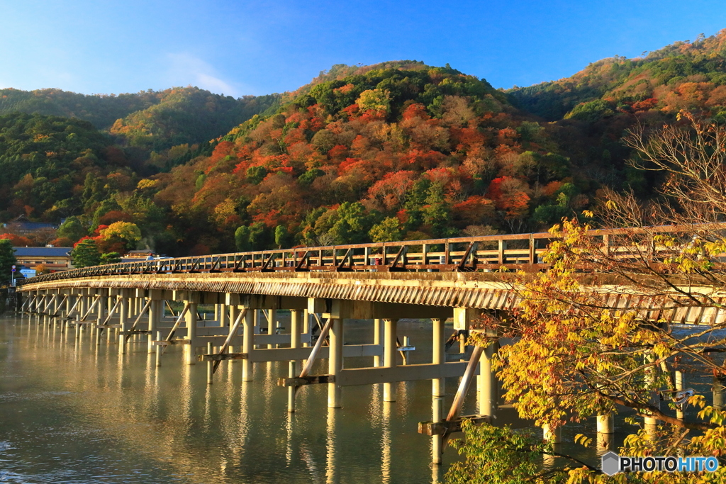 紅葉と渡月橋