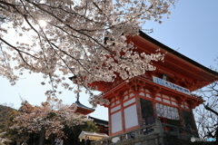 青空と桜と門
