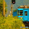 いない いない ばぁ～ \ (^o^) /