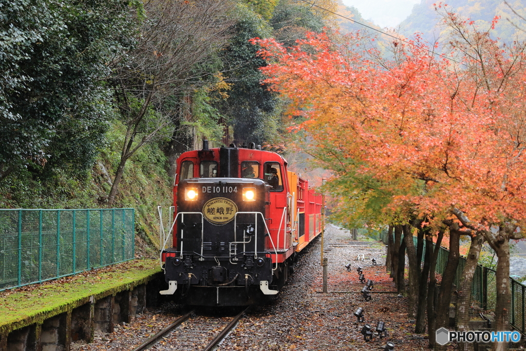 嵯峨野 トロッコ列車