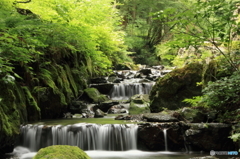 横野の滝