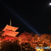 ライトアップされた紅葉