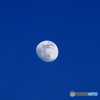 昼間に見たお月様