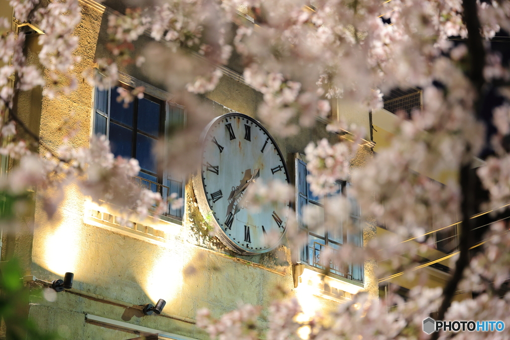 桜と時計