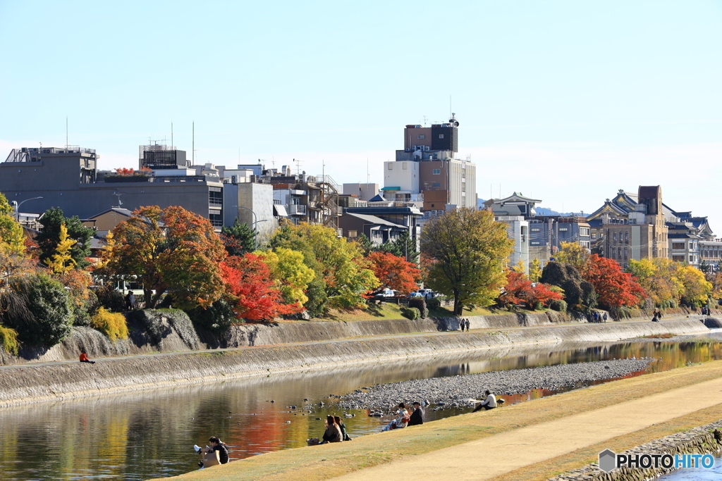 鴨川沿いの紅葉