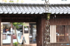 雨