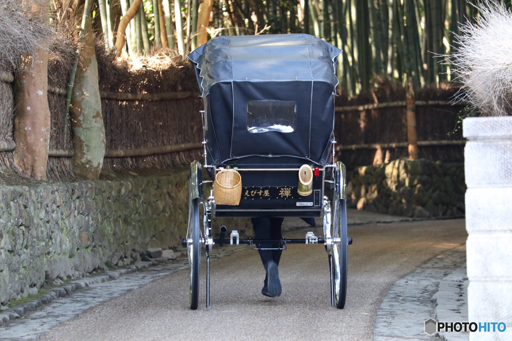 竹林と人力車