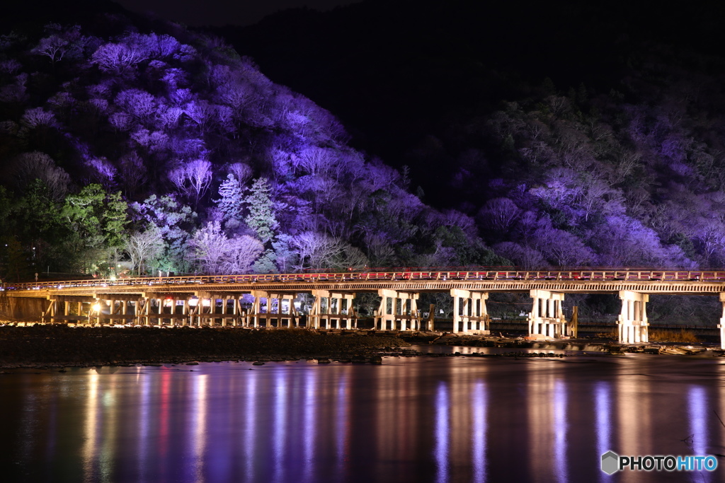 ライトアップされた渡月橋