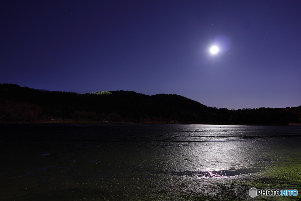 月明かりに照らされる水のない池