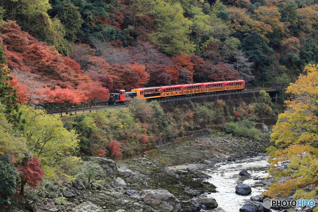 山間を走るトロッコ列車