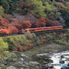 山間を走るトロッコ列車